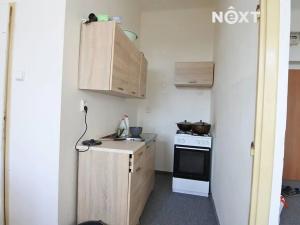 Pronájem bytu 1+1, České Budějovice, Novohradská, 65 m2