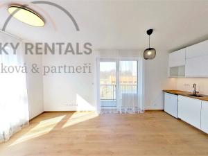 Pronájem bytu 1+kk, Praha - Hloubětín, Za černým mostem, 32 m2