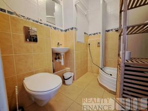 Pronájem bytu 1+kk, Plzeň, Heyrovského, 20 m2