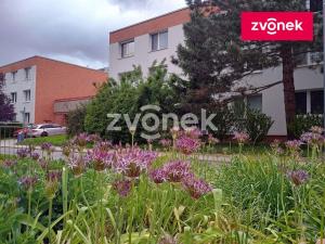 Pronájem bytu 1+kk, Zlín, Dětská, 27 m2