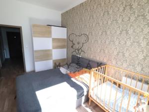 Pronájem bytu 2+kk, České Budějovice - České Budějovice 2, Husova tř., 58 m2