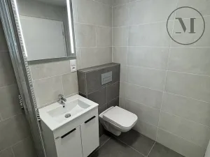 Pronájem bytu 1+kk, Dívčice, 20 m2