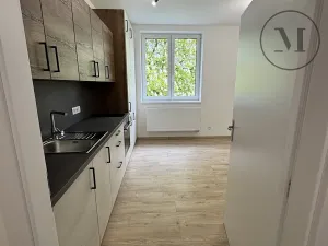 Pronájem bytu 1+kk, Dívčice, 20 m2