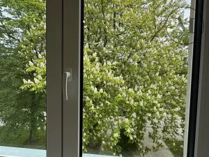 Pronájem bytu 1+kk, Dívčice, 20 m2