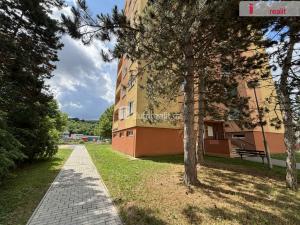 Pronájem bytu 3+1, Luhačovice, Družstevní, 77 m2