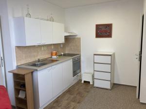 Pronájem bytu 2+kk, Pardubice - Zelené Předměstí, nábřeží Závodu míru, 63 m2