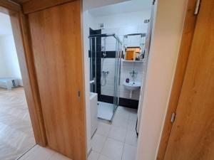 Pronájem bytu 2+1, Příbram - Příbram VII, třída Osvobození, 56 m2