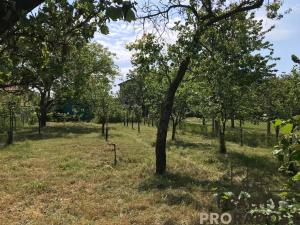 Prodej zahrady, Znojmo, 1374 m2