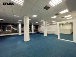 Pronájem obchodního prostoru, Třebíč - Vnitřní Město, Karlovo nám., 219 m2