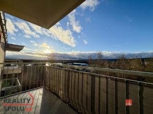 Prodej bytu 1+kk, Nová Role, Svobodova, 39 m2