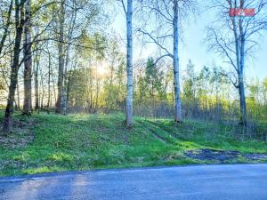 Prodej pozemku pro bydlení, Stará Voda, 2966 m2