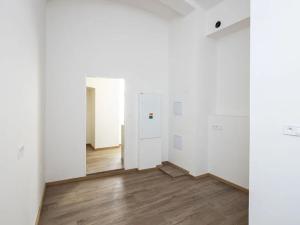 Pronájem obchodního prostoru, Praha - Nové Město, Truhlářská, 379 m2