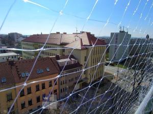 Prodej bytu 2+1, České Budějovice - České Budějovice 7, U Malše, 55 m2
