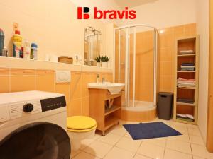 Pronájem bytu 1+kk, Brno, Fryčajova, 45 m2