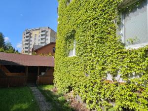 Prodej bytu 2+kk, Jeseník, U Jatek, 48 m2