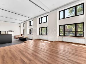 Pronájem obchodního prostoru, Praha - Vršovice, Norská, 464 m2