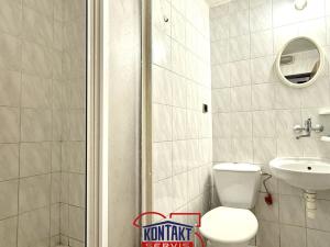Pronájem bytu 1+kk, Český Krumlov - Nové Spolí, 20 m2