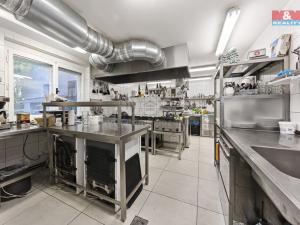 Prodej ubytování, Kytlice - Dolní Falknov, 500 m2