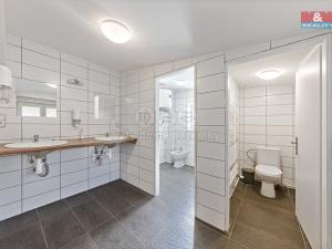 Prodej ubytování, Kytlice - Dolní Falknov, 500 m2