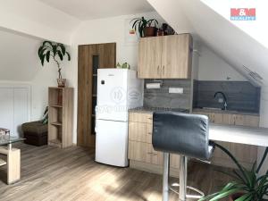 Pronájem bytu 1+kk, Bratrušov, 24 m2