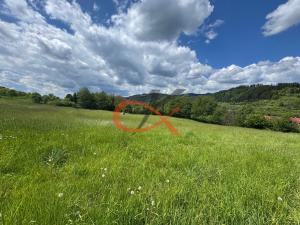 Prodej louky, Nový Hrozenkov, 25140 m2