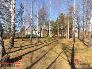 Pronájem bytu 2+kk, Opava - Předměstí, U Hliníku, 34 m2