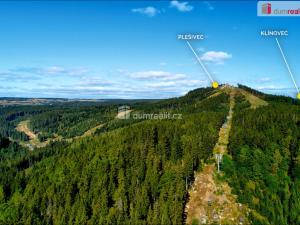 Prodej chaty, Merklín - Pstruží, 63 m2
