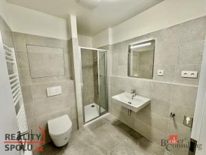 Pronájem bytu 1+kk, Brno - Trnitá, Křenová, 31 m2