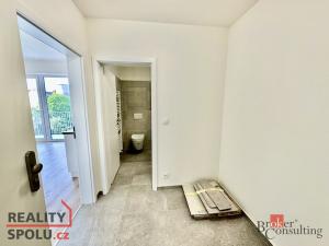 Pronájem bytu 1+kk, Brno - Trnitá, Křenová, 31 m2