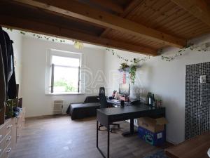 Pronájem bytu 1+kk, Praha - Žižkov, Hartigova, 25 m2