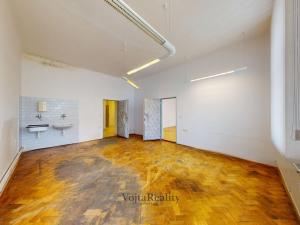 Prodej ordinace, Olomouc, Palackého, 99 m2