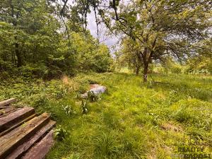 Prodej zahrady, Bystřice pod Hostýnem, 2468 m2