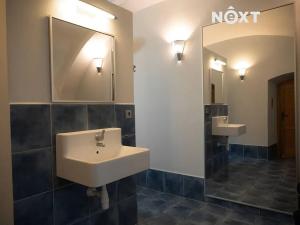 Pronájem bytu 3+kk, Mirkovice, 120 m2