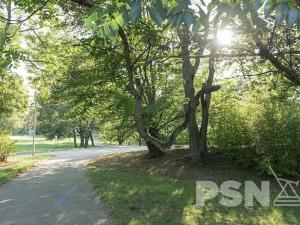 Prodej bytu 2+kk, Praha - Břevnov, Pod Drinopolem, 51 m2