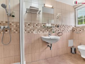 Prodej bytu 1+kk, Merklín - Pstruží, 19 m2