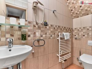 Prodej bytu 1+kk, Merklín - Pstruží, 27 m2