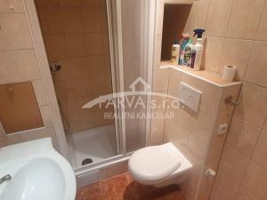 Pronájem bytu 1+kk, Plzeň - Doubravka, Na Kovárně, 21 m2