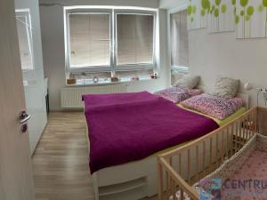 Pronájem bytu 4+kk, Liberec - Liberec VI-Rochlice, Rubínová, 90 m2