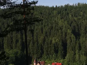 Prodej vily, Karlovy Vary, K Přehradě, 350 m2