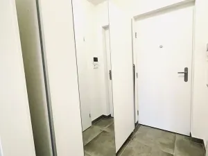 Pronájem bytu 1+kk, Brno, Poděbradova, 36 m2
