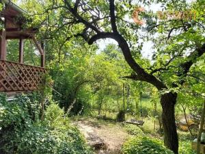 Prodej chaty, Mikulov, 50 m2