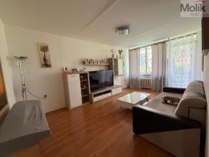 Prodej bytu 3+1, Bílina - Teplické Předměstí, M. Švabinského, 72 m2