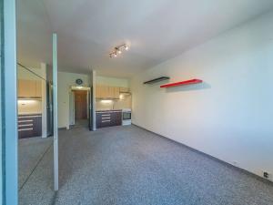 Prodej bytu 1+kk, Orlová, 30 m2