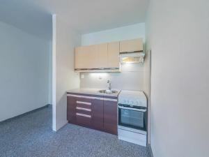 Prodej bytu 1+kk, Orlová, 30 m2