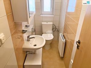 Pronájem bytu 2+kk, Vochov, 68 m2