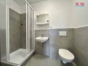 Pronájem bytu 2+kk, Jindřichův Hradec - Jindřichův Hradec III, Vídeňská, 53 m2