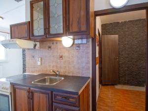 Prodej bytu 1+kk, Liberec, Borový vrch, 27 m2