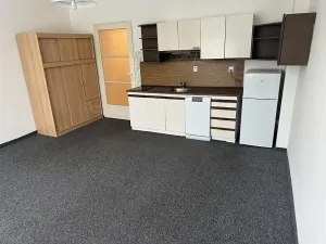 Pronájem bytu 1+kk, Praha - Michle, Nuselská, 35 m2