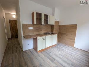 Pronájem bytu 2+1, Most, Jiřího Wolkera, 61 m2