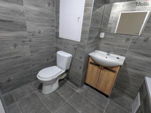 Pronájem bytu 2+1, Most, Jiřího Wolkera, 61 m2